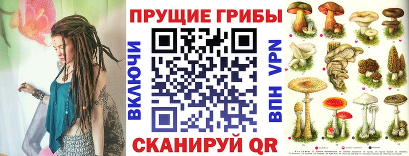 Псилоцибиновые грибы Psilocybine cubensis  Людиново 