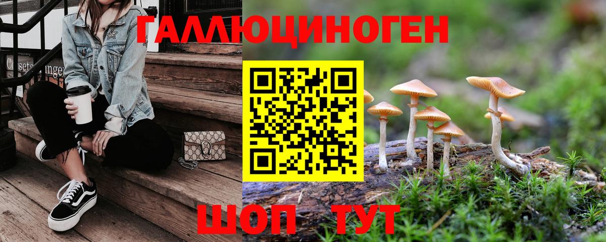 где найти   Вход с VPN  Людиново  Галлюциногенные грибы Psilocybe 